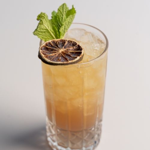 A cocktail in a glass with ice, garnished with a dried lime slice and mint leaves, set against a plain background.